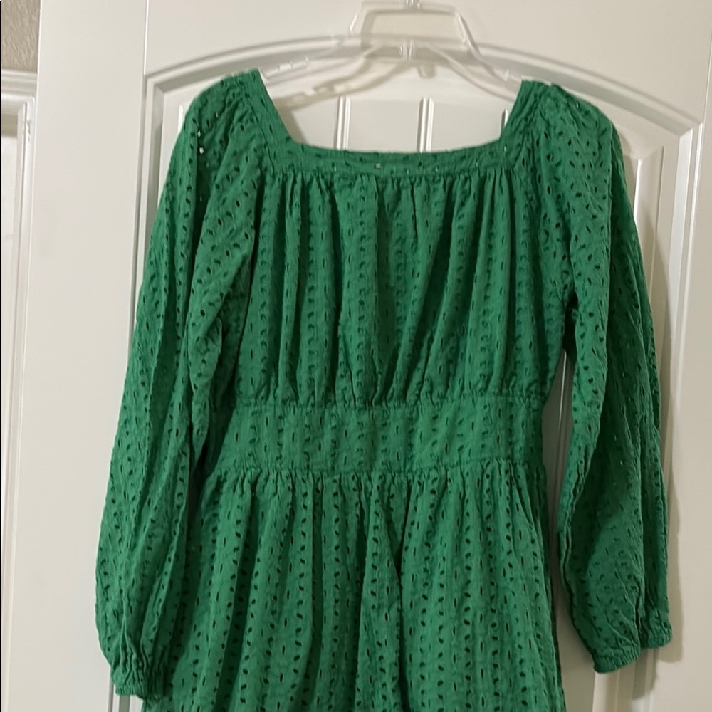 Hummingbird Anthropologie Green Eyelet Dress - Picture 7 of 9